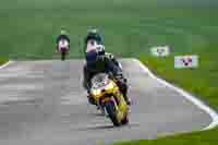 Middle Group Yellow Bikes